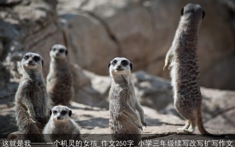 这就是我——一个机灵的女孩_作文250字_小学三年级续写改写扩写作文
