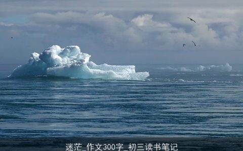 迷茫_作文300字_初三读书笔记