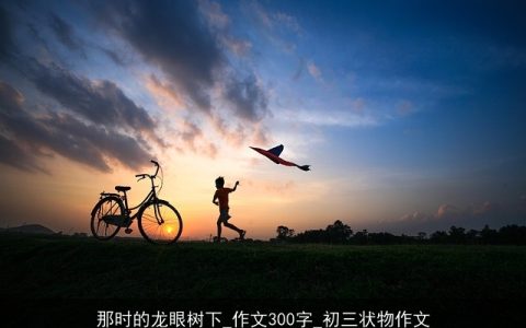 那时的龙眼树下_作文300字_初三状物作文