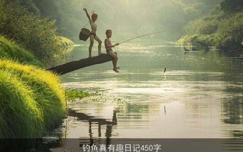 钓鱼真有趣日记450字
