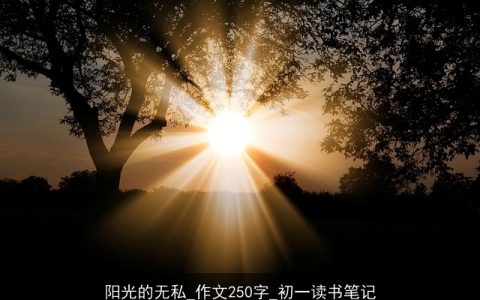 阳光的无私_作文250字_初一读书笔记