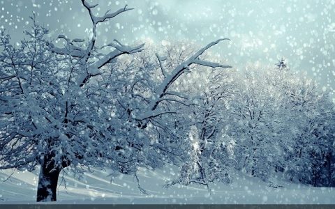 雪后_作文150字_小学四年级抒情作文