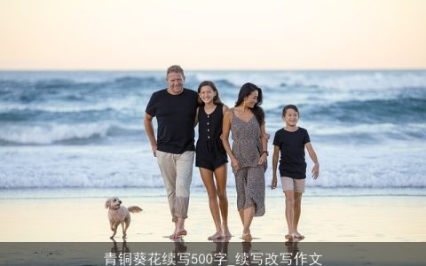 青铜葵花续写500字_续写改写作文