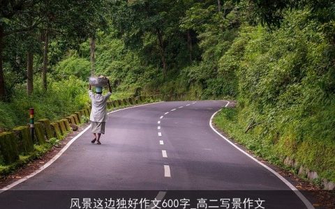 风景这边独好作文600字_高二写景作文