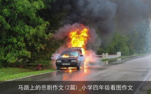 马路上的悲剧作文(2篇)_小学四年级看图作文