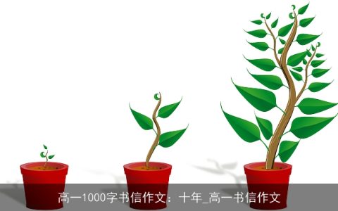 高一1000字书信作文：十年_高一书信作文