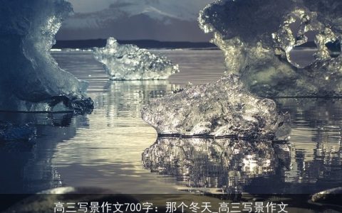 高三写景作文700字：那个冬天_高三写景作文