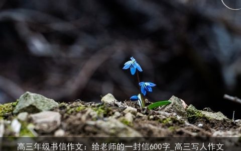 高三年级书信作文：给老师的一封信600字_高三写人作文