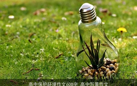 高中保护环境作文600字_高中写景作文