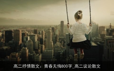 高二抒情散文：青春无悔800字_高二议论散文