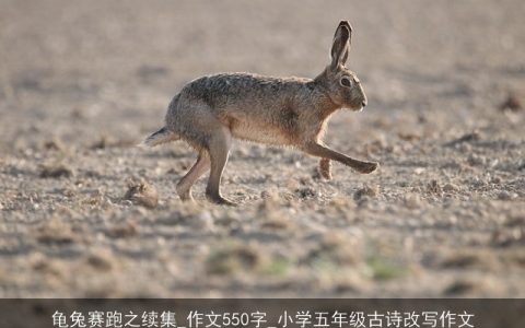 龟兔赛跑之续集_作文550字_小学五年级古诗改写作文