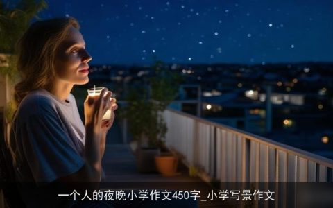 一个人的夜晚小学作文450字_小学写景作文