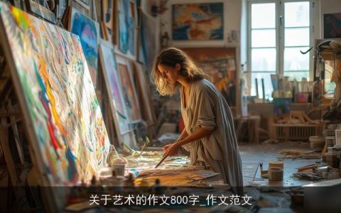 关于艺术的作文800字_作文范文