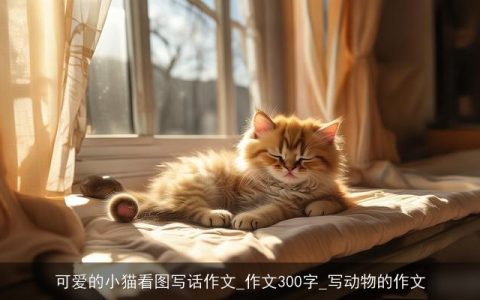 可爱的小猫看图写话作文_作文300字_写动物的作文