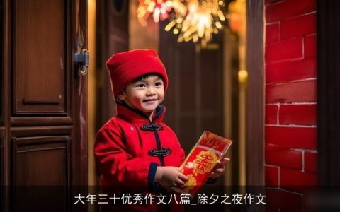 大年三十优秀作文八篇_除夕之夜作文