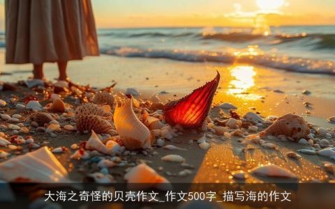 大海之奇怪的贝壳作文_作文500字_描写海的作文