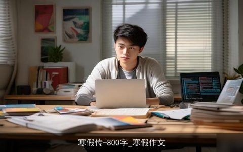 寒假传-800字_寒假作文