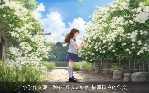 小学作文写一种花_作文200字_描写植物的作文