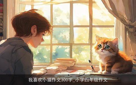 我喜欢小猫作文300字_小学四年级作文