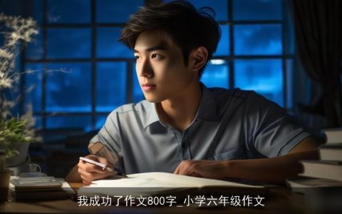 我成功了作文800字_小学六年级作文