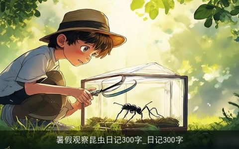 暑假观察昆虫日记300字_日记300字
