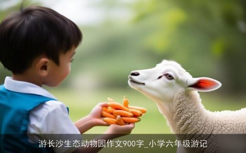 游长沙生态动物园作文900字_小学六年级游记