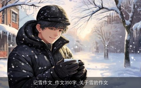 记雪作文_作文350字_关于雪的作文