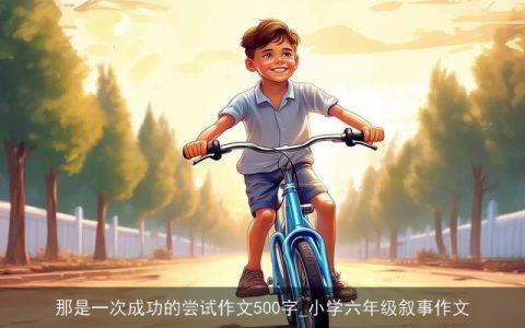 那是一次成功的尝试作文500字_小学六年级叙事作文